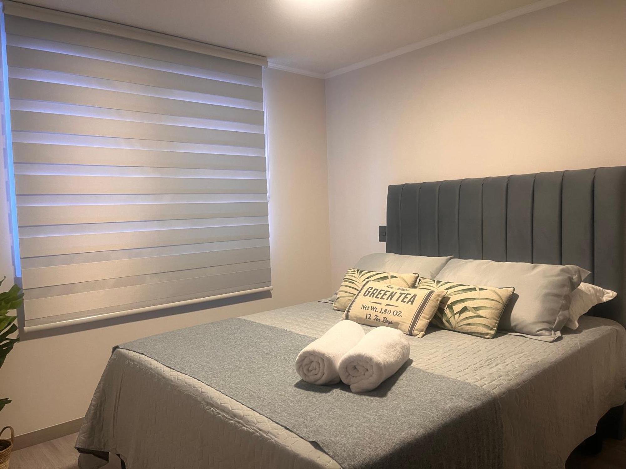 Appartamento Departamento Santiago del Cile